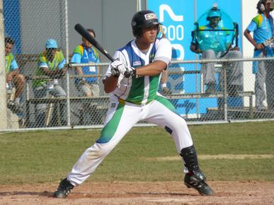 Federação Paulista de Beisebol e Softbol